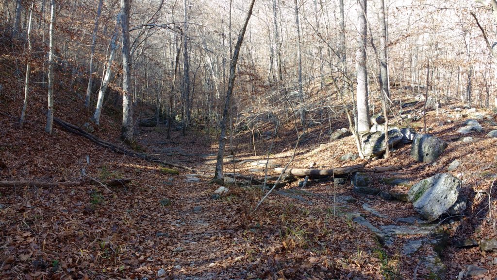 img_20171119_135331242.jpg