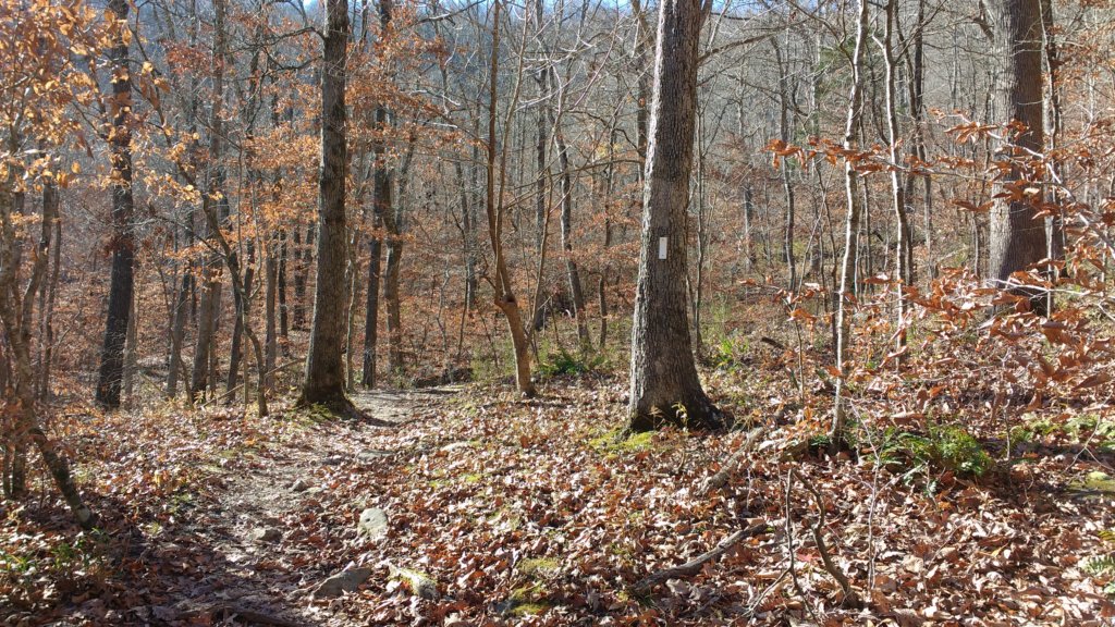 img_20171119_135623474.jpg