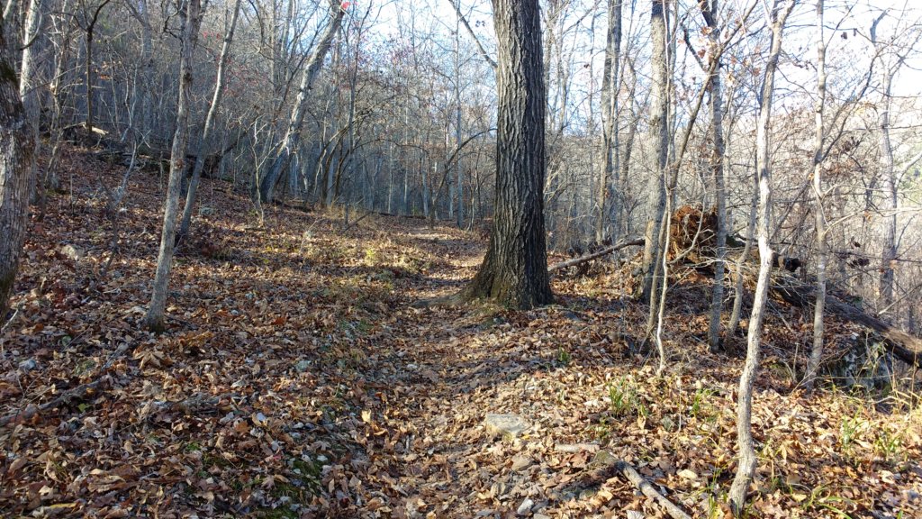 img_20171119_141222005.jpg