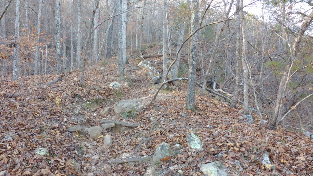 img_20171119_141532940.jpg