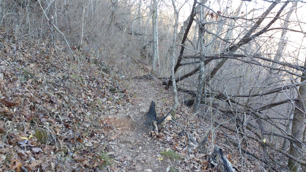 img_20171119_142721382.jpg