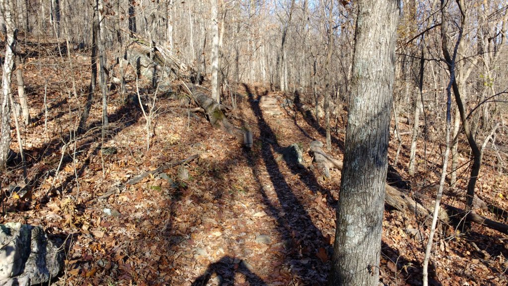 img_20171119_145044207.jpg