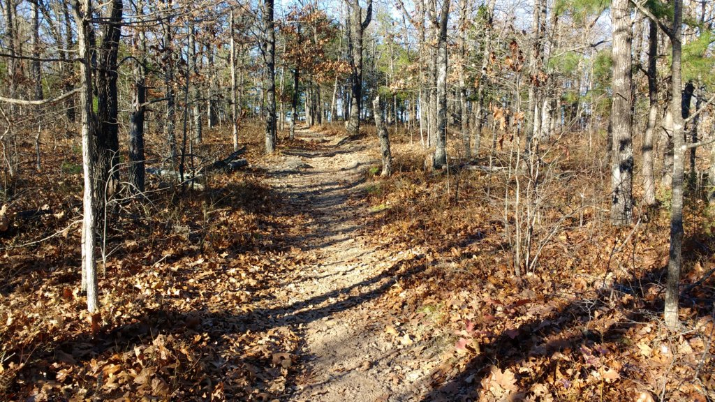 img_20171119_150700989.jpg