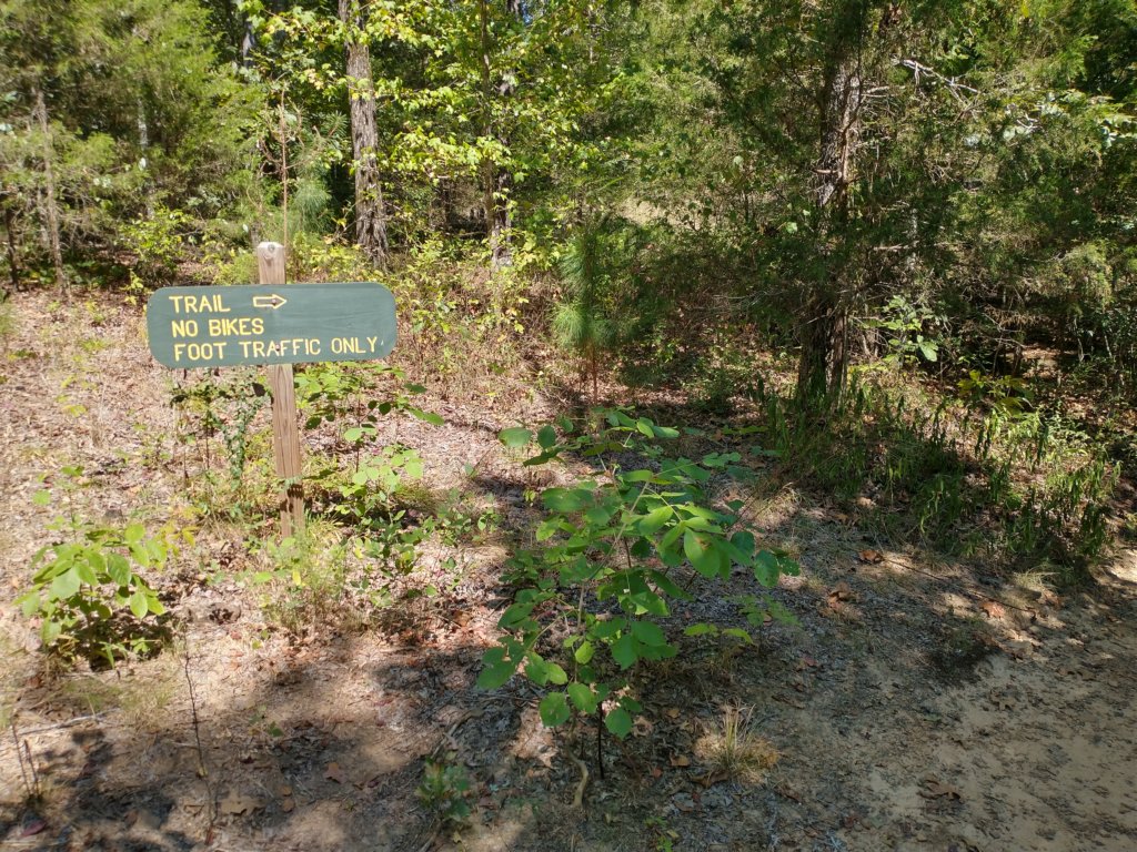 img_20200822_112624099_hdr.jpg