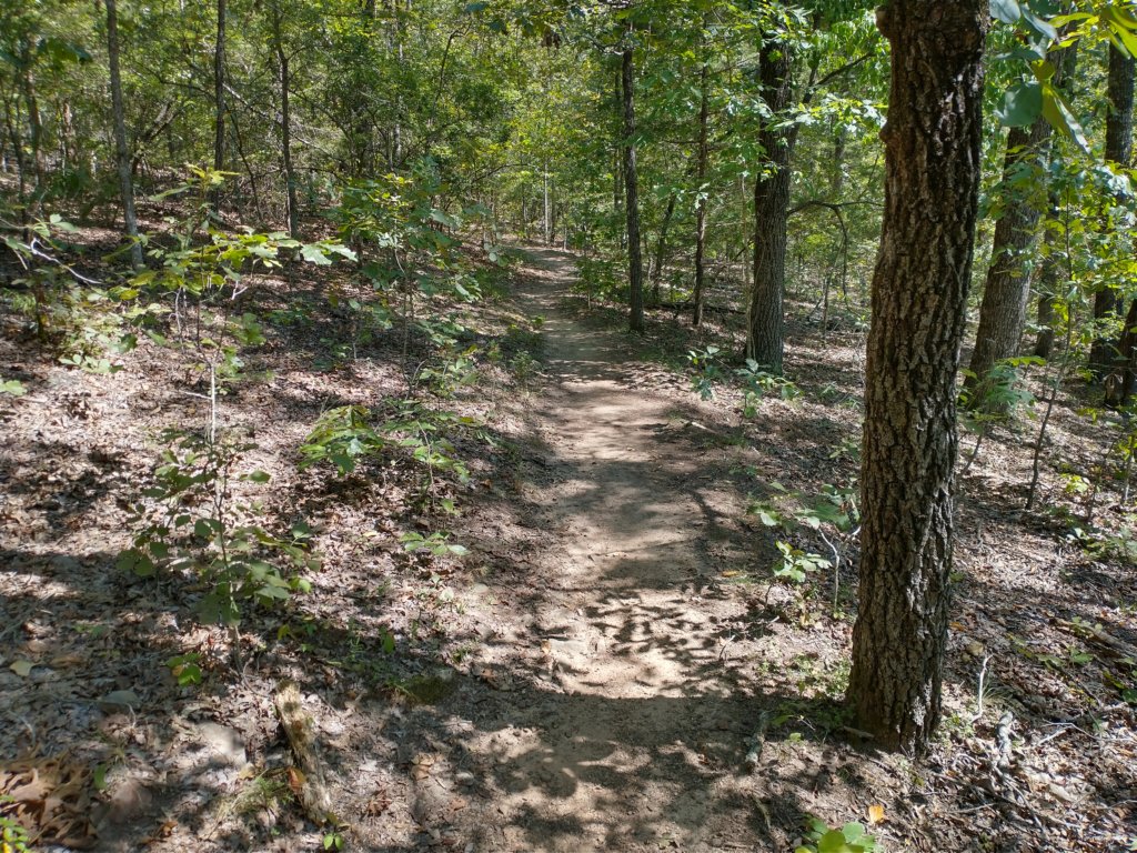 img_20200822_113819477_hdr.jpg