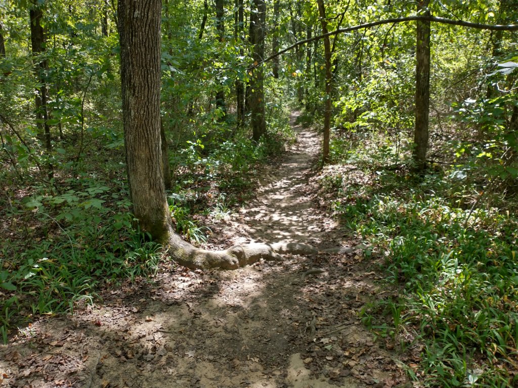 img_20200822_115037254_hdr.jpg