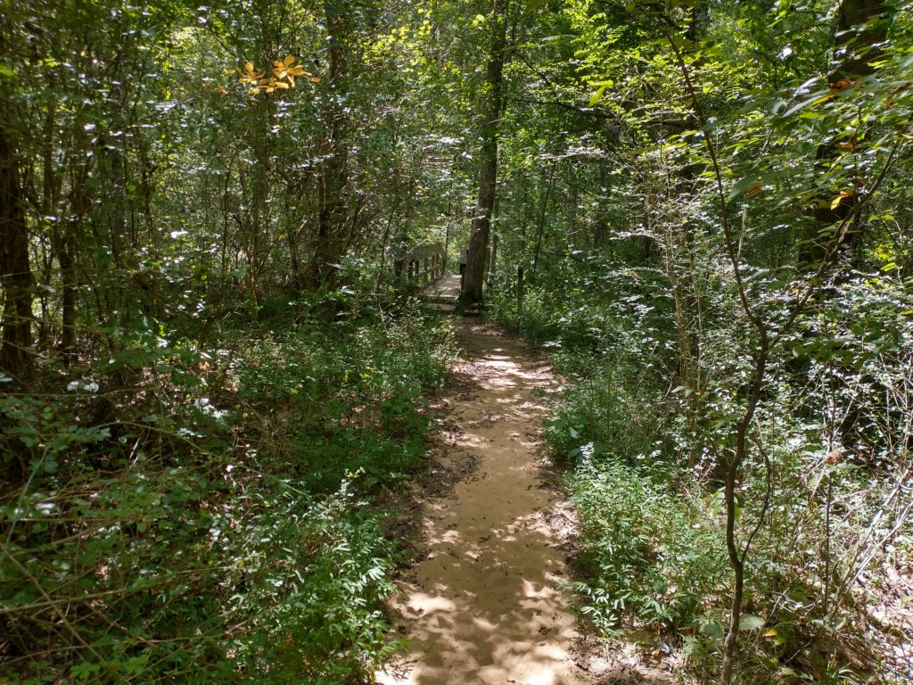 img_20200822_115351868_hdr.jpg