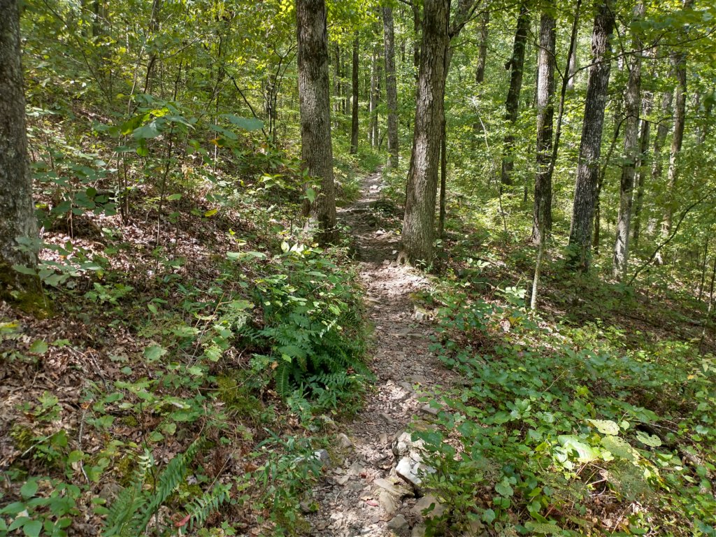 img_20200822_115853510_hdr.jpg