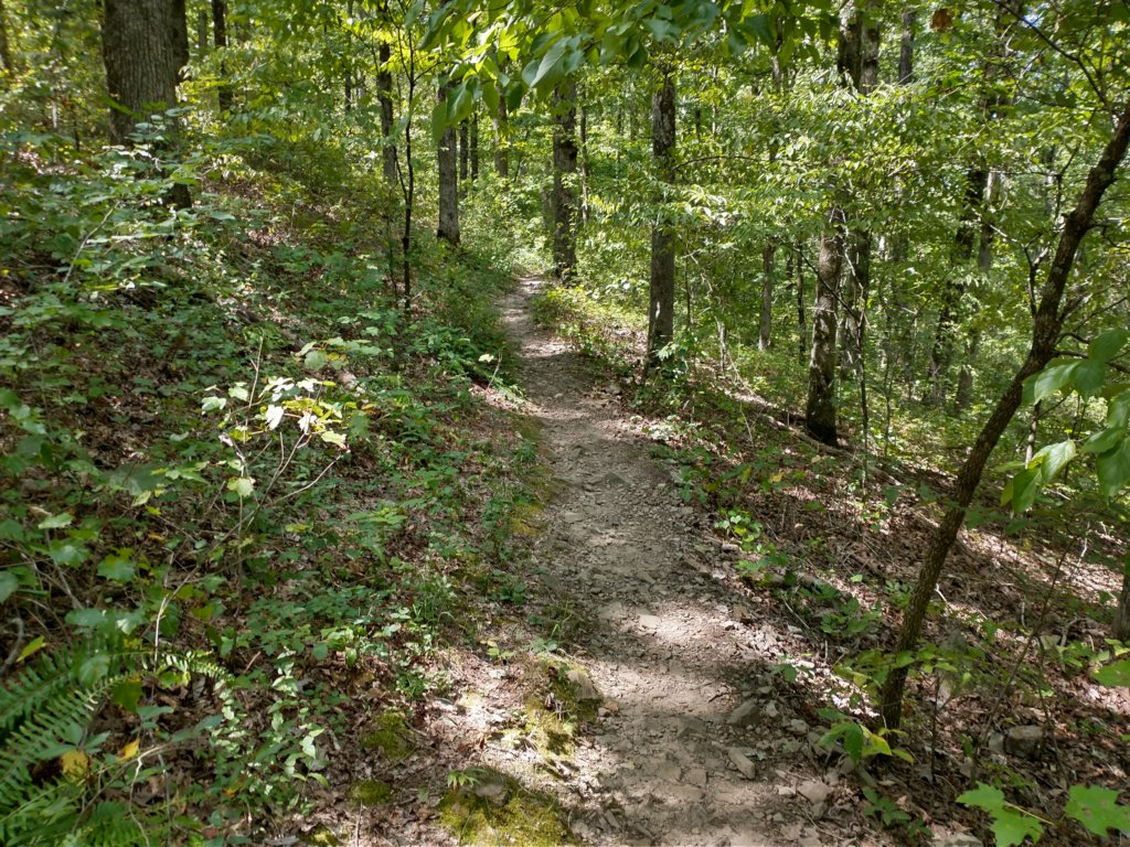 img_20200822_120230337_hdr.jpg