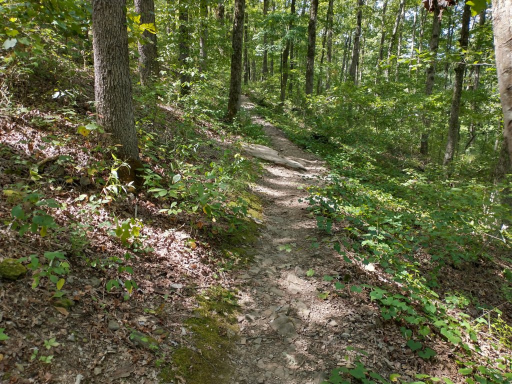img_20200822_120430970_hdr.jpg