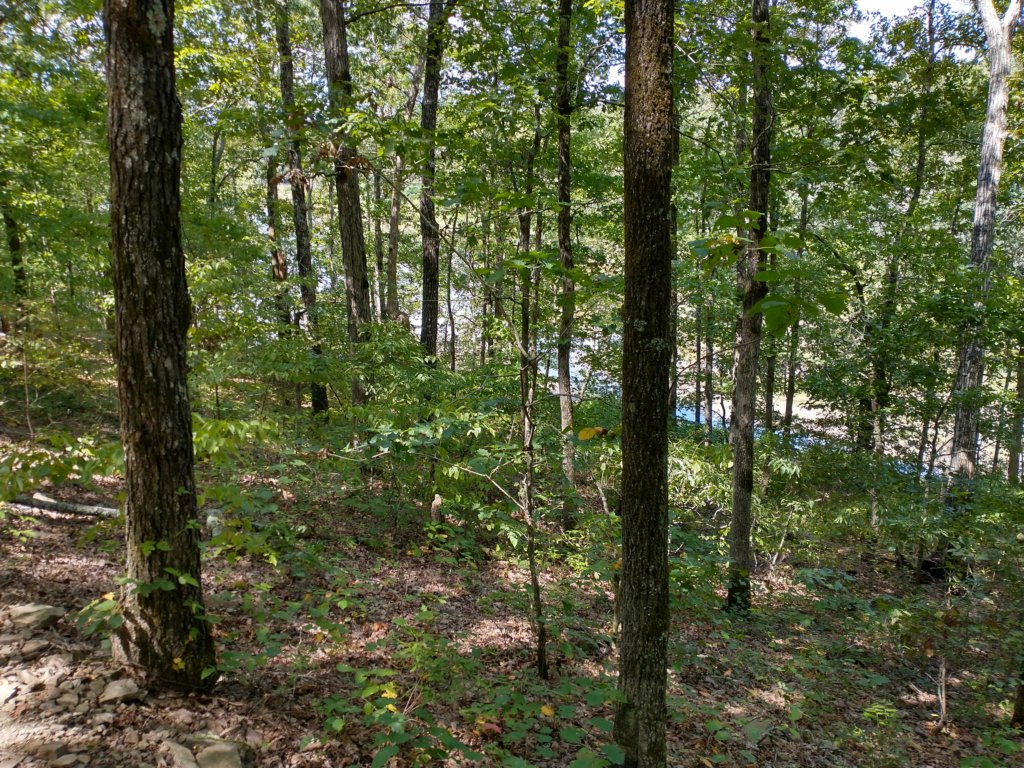 img_20200822_120619128_hdr.jpg