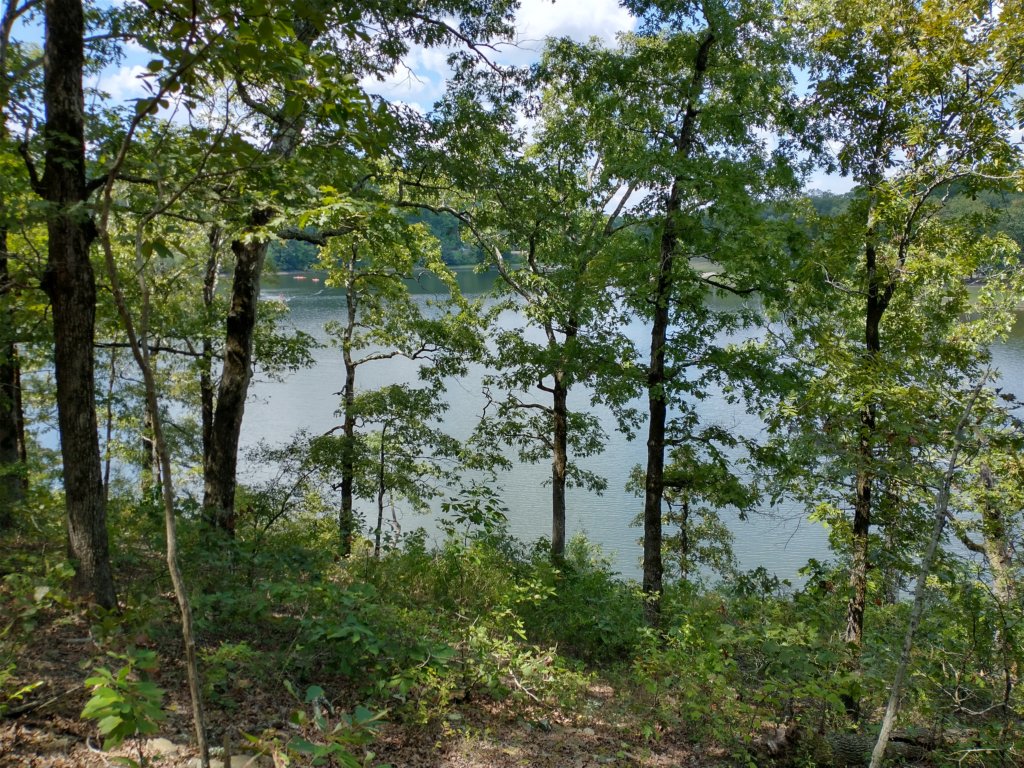 img_20200822_121212254_hdr.jpg
