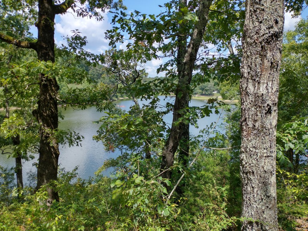 img_20200822_121809073_hdr.jpg