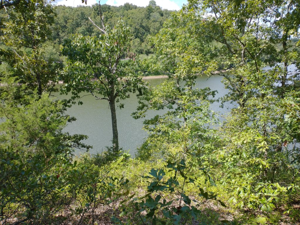 img_20200822_122340003.jpg