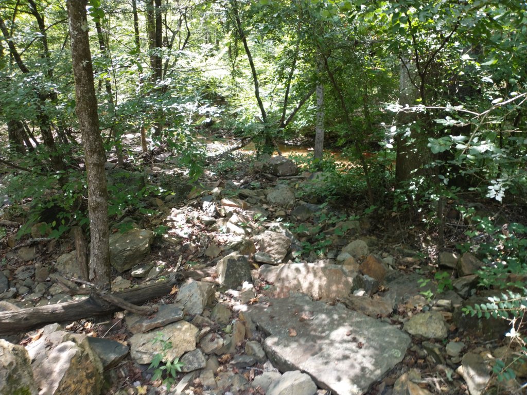 img_20200822_123448525.jpg
