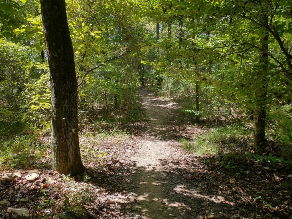 img_20200822_123739343_hdr.jpg