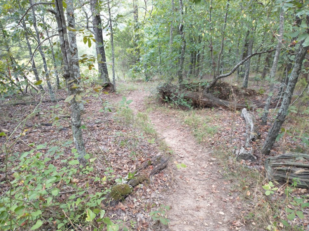 img_20200822_130008367.jpg