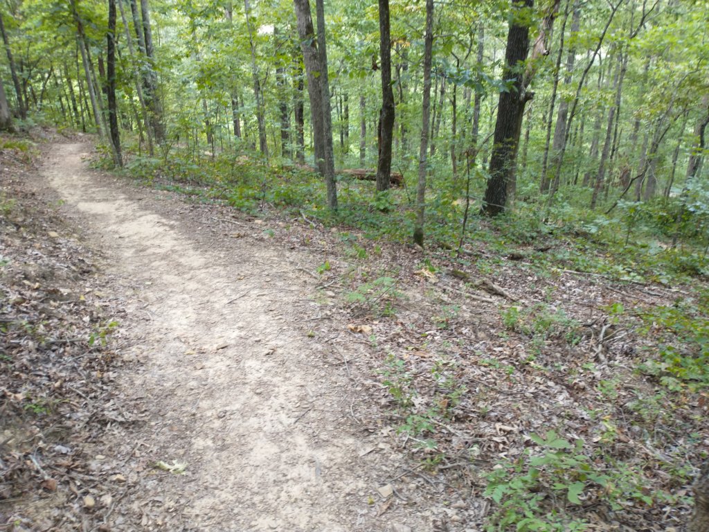img_20200822_130158783.jpg
