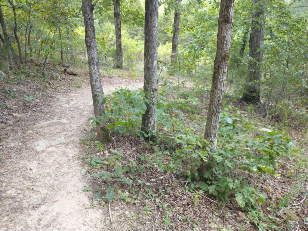 img_20200822_130625512.jpg
