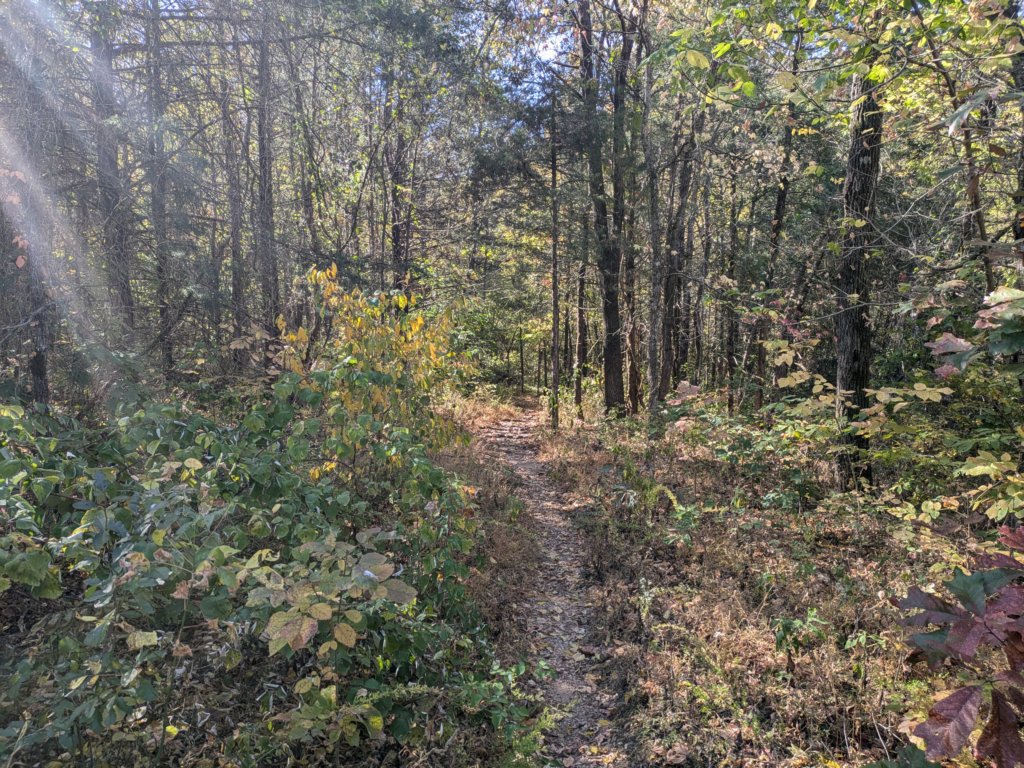 pxl_20241016_154553538.jpg