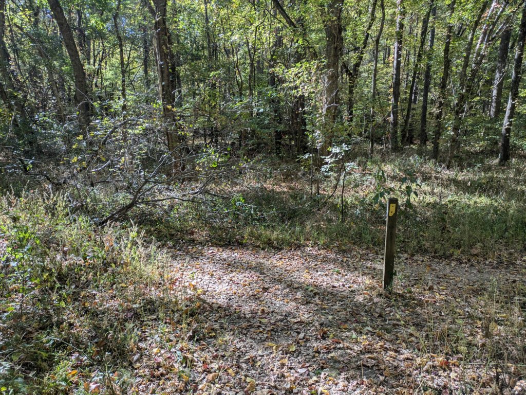 pxl_20241016_154809073.jpg