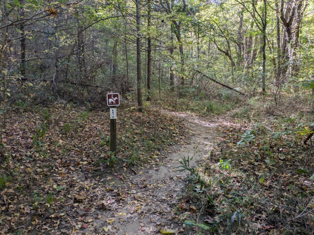 pxl_20241016_154913962.jpg
