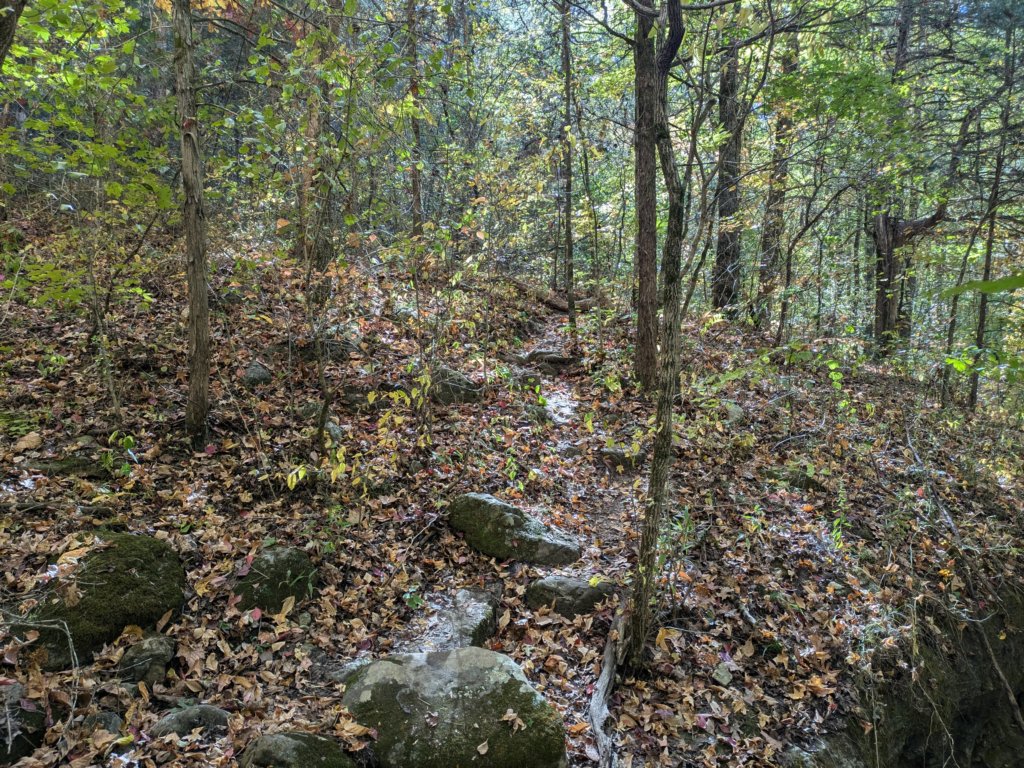 pxl_20241016_155304705.jpg