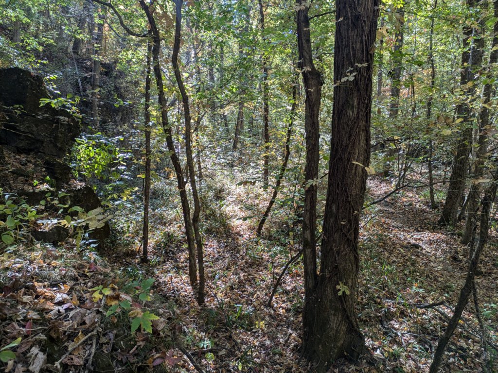 pxl_20241016_155351713.jpg