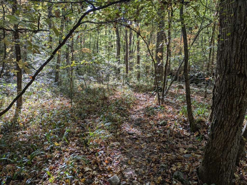 pxl_20241016_155409362.jpg