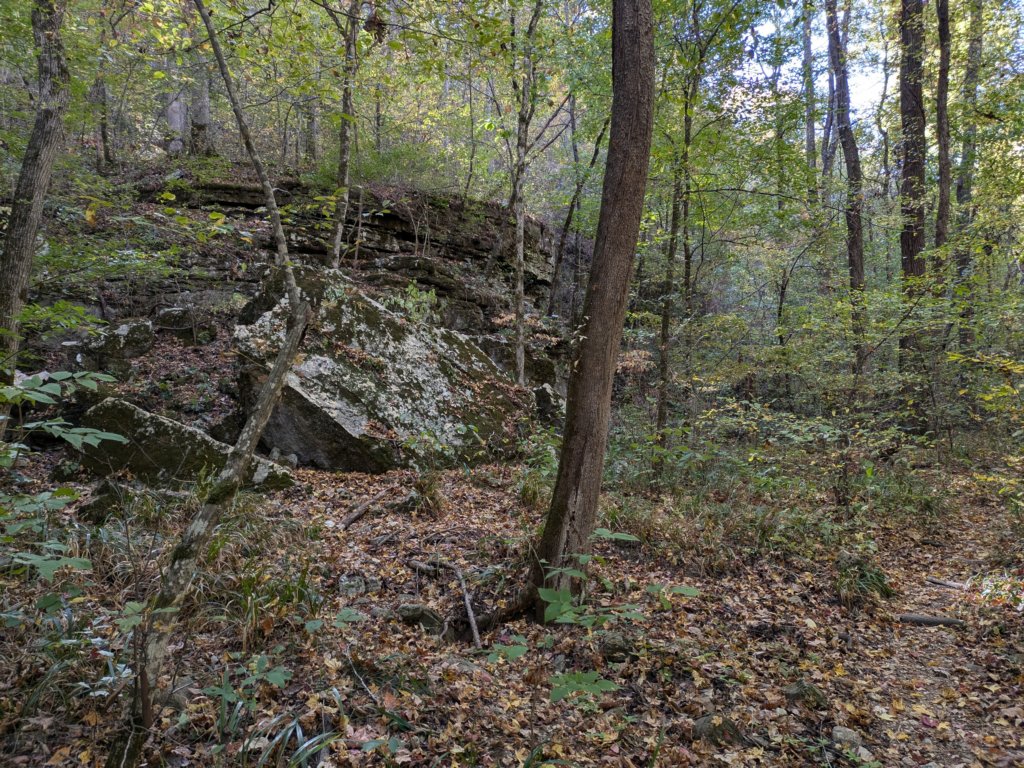 pxl_20241016_160243647.jpg