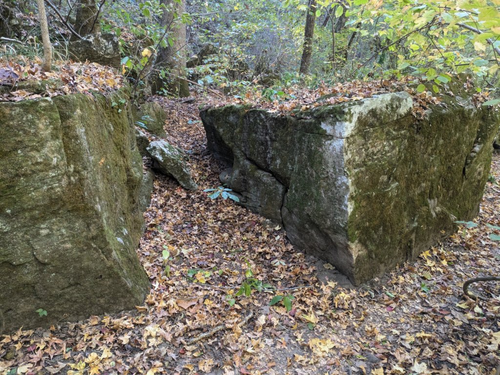 pxl_20241016_160356017.jpg