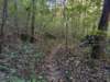 pxl_20241016_160502147_small.jpg