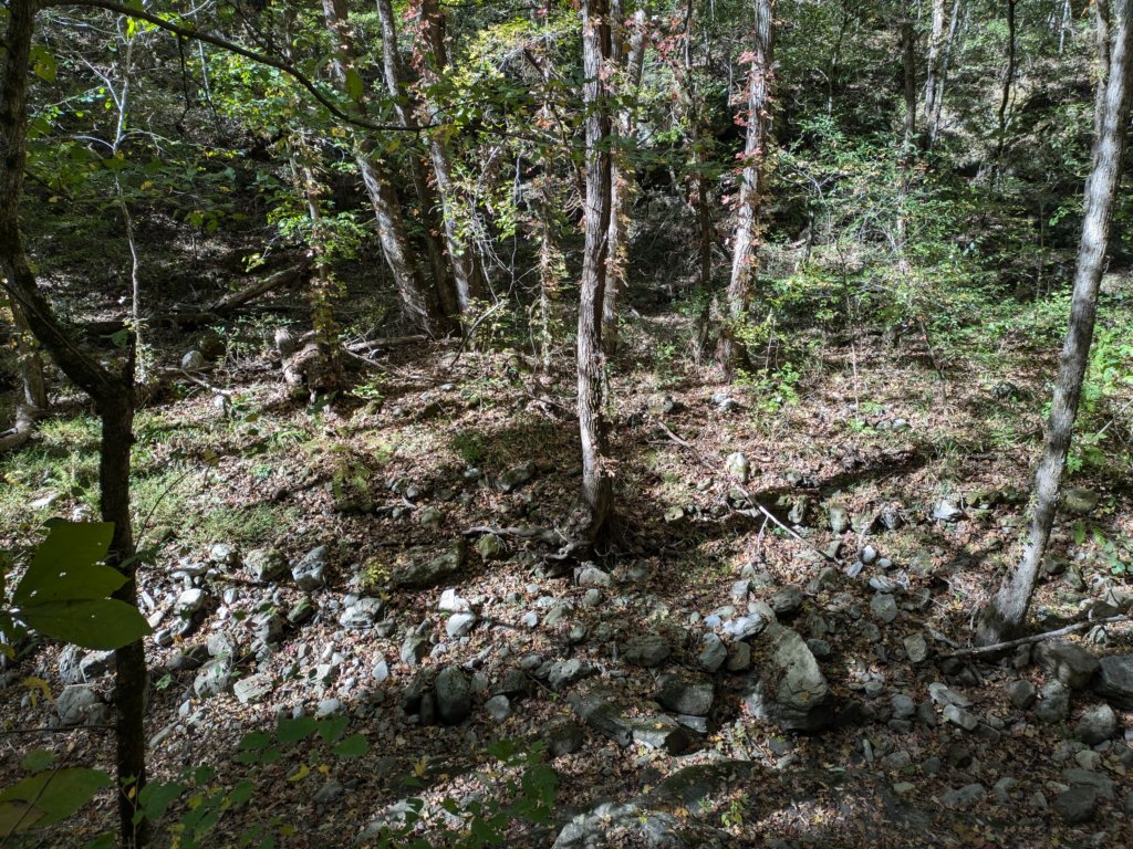 pxl_20241016_160816464.jpg