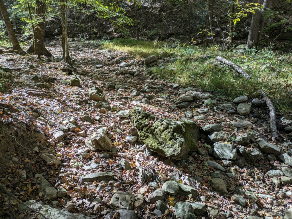 pxl_20241016_160900896.jpg