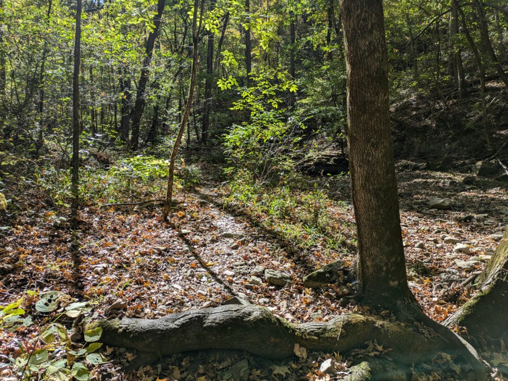 pxl_20241016_160933406.jpg
