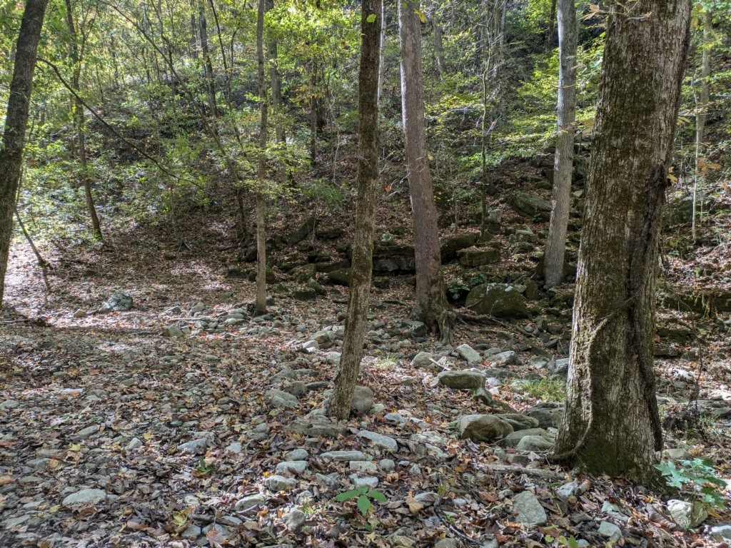 pxl_20241016_161011424.jpg