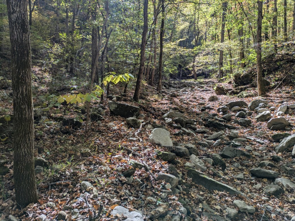 pxl_20241016_161327869.jpg