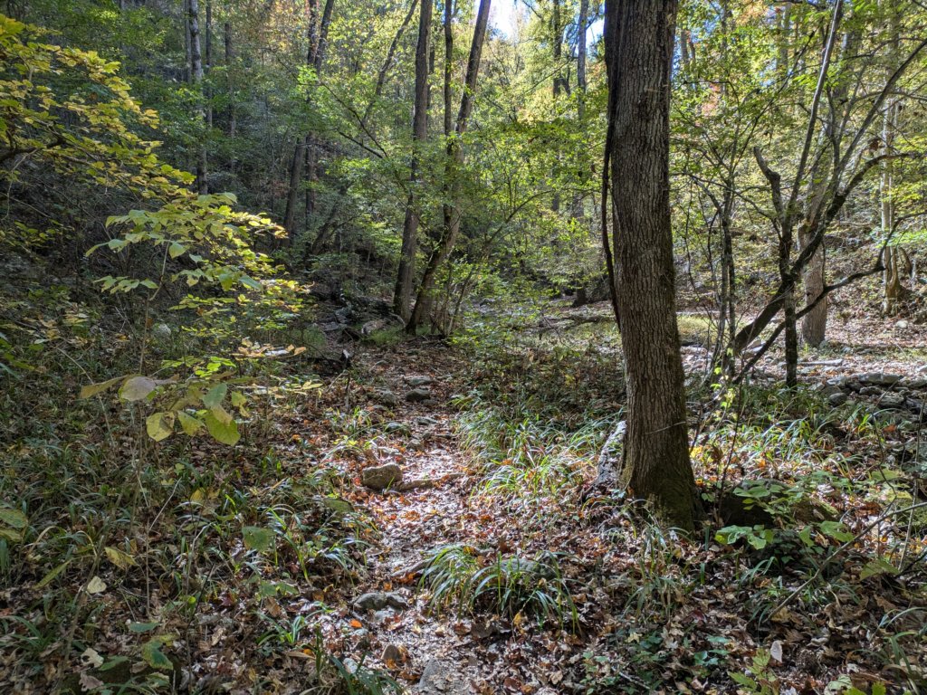 pxl_20241016_161424832.jpg