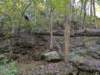 pxl_20241016_161700143_small.jpg