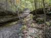 pxl_20241016_162126013_small.jpg