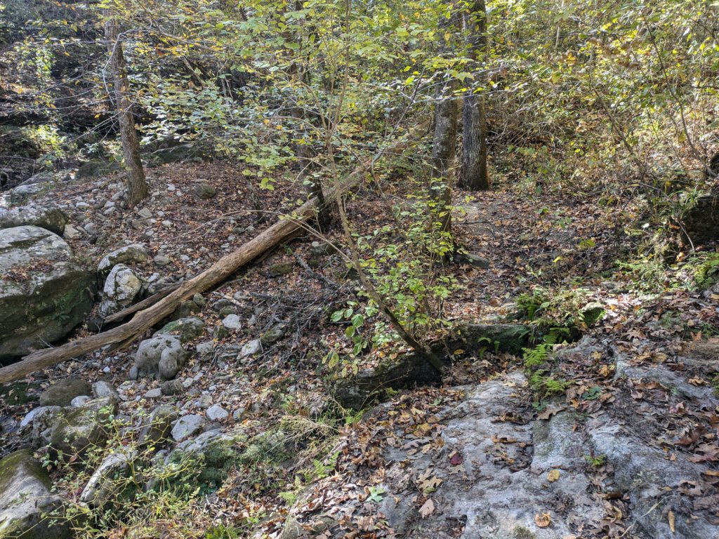 pxl_20241016_162412324.jpg