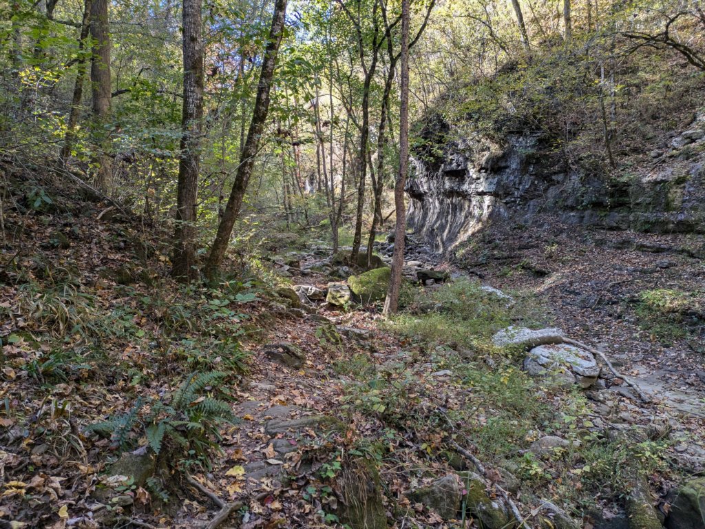 pxl_20241016_162848181.jpg