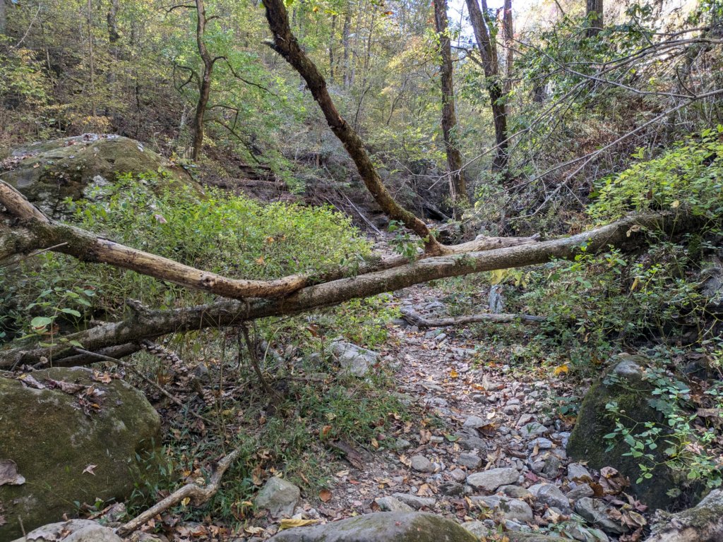 pxl_20241016_163140106.jpg