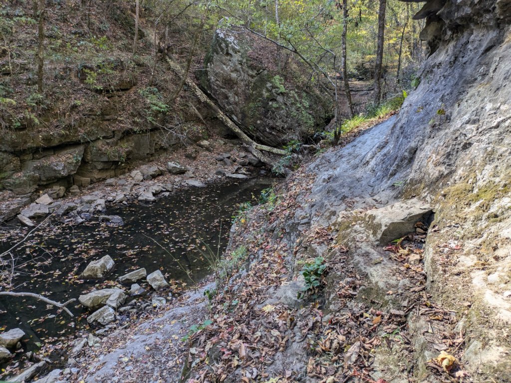 pxl_20241016_163522088.jpg