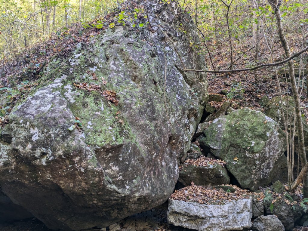 pxl_20241016_163841711.jpg