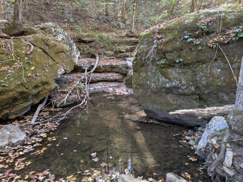 pxl_20241016_164231968.jpg