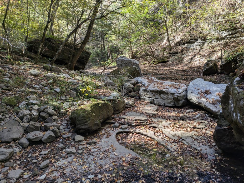pxl_20241016_164316375.jpg