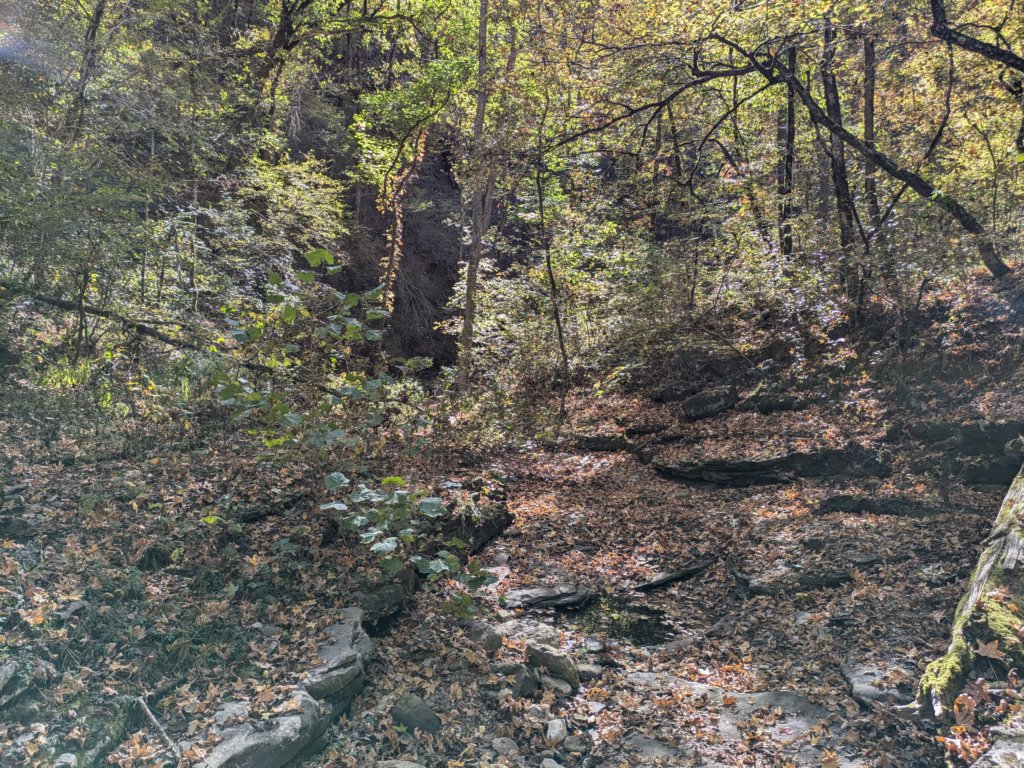 pxl_20241016_164915114.jpg