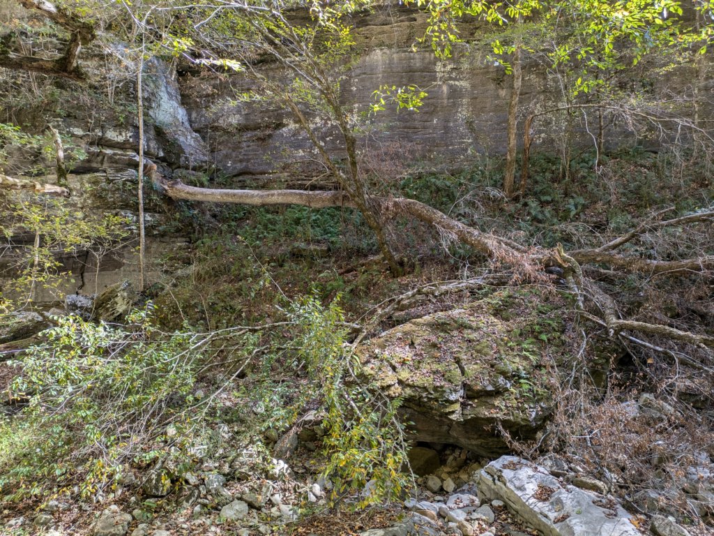 pxl_20241016_165912987.jpg