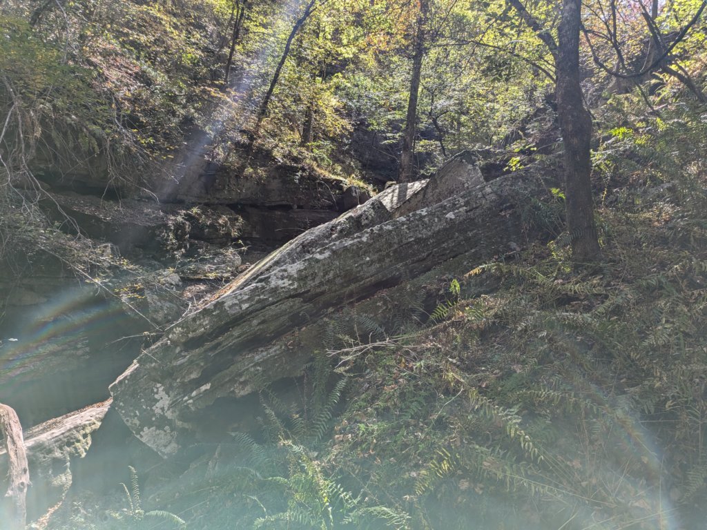 pxl_20241016_170046884mp.jpg